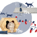 gewinne ein Geschenkpaket